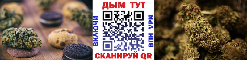 купить наркотики цена  Ногинск  гидра ссылка  Печенье с ТГК конопля 