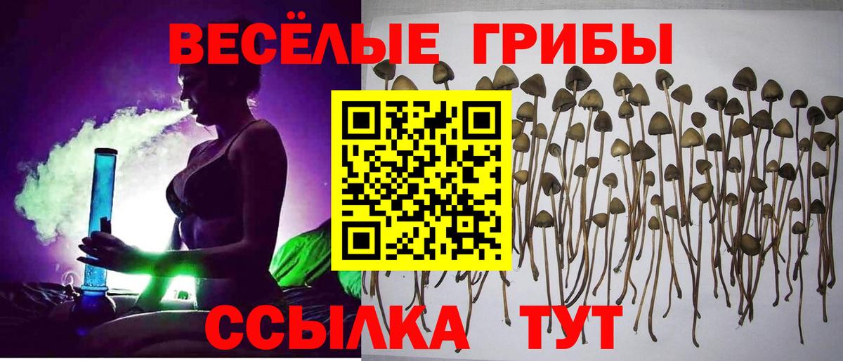 Псилоцибиновые грибы ЛСД  Псилоцибиновые грибы мухоморы  Вход с VPN  Ногинск 