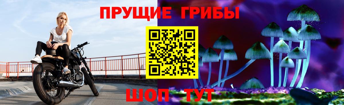 Псилоцибиновые грибы мухоморы Ногинск