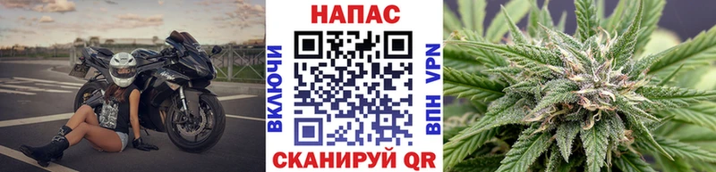 Шишки марихуана AK-47 Ногинск